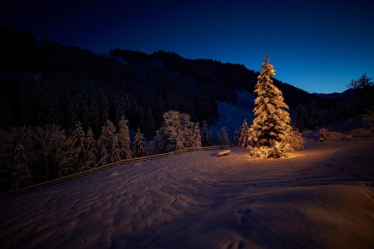 Chalet Tannenbaum ザールバッハ・ヒンターグレム エクステリア 写真